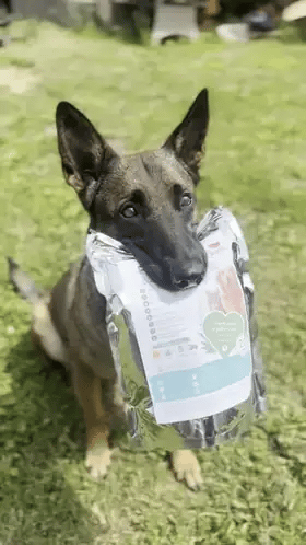 Mokre rękawiczki PupiFresh dla psów i kotów